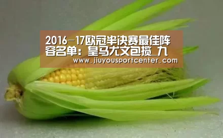 2016-17欧冠半决赛最佳阵容名单:皇马尤文包揽_九游下载(图3) 9游官网