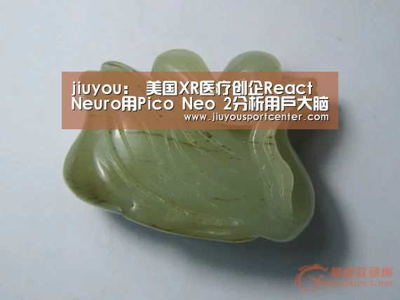 jiuyou:
美国XR医疗创企React Neuro用Pico Neo 2分析用户大脑康健(图2) 9游官网