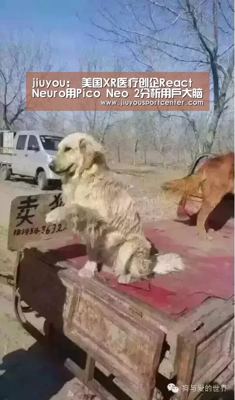 jiuyou:
美国XR医疗创企React Neuro用Pico Neo 2分析用户大脑康健(图1) jiuyou:
美国XR医疗创企React Neuro用Pico Neo 2分析用户大脑康健(图1)