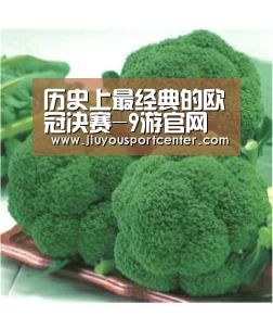 历史上最经典的欧冠决赛-9游官网(图4) 历史上最经典的欧冠决赛-9游官网(图4)